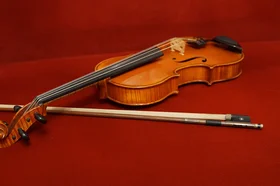 viola-1566624_960_720.jpg