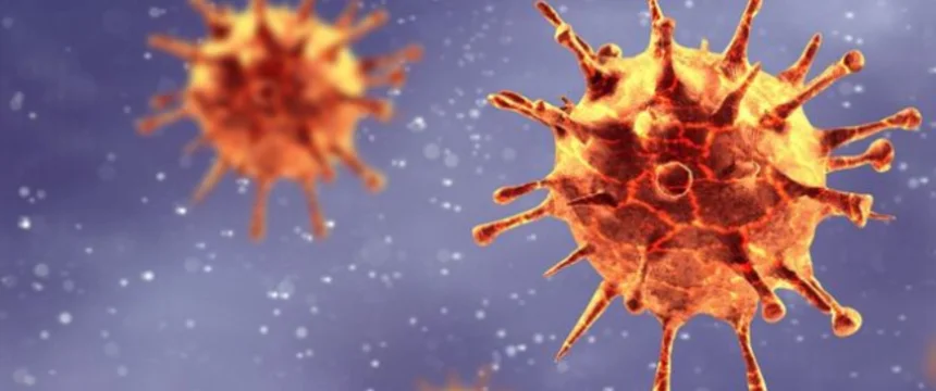 _111471446_virus_1.jpg