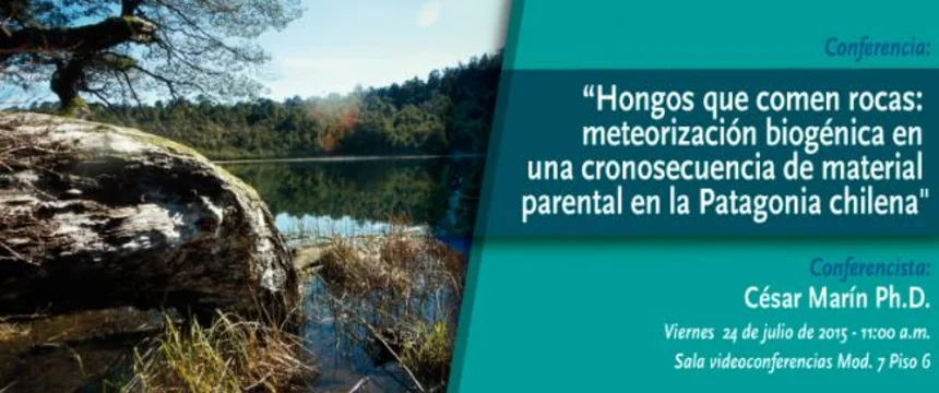 conferencia_hongos_bannermicrositio.jpg
