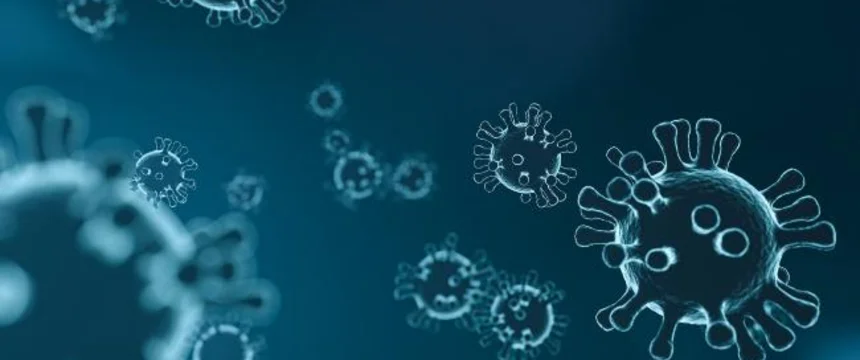 virus-4835301_1920_0.jpg