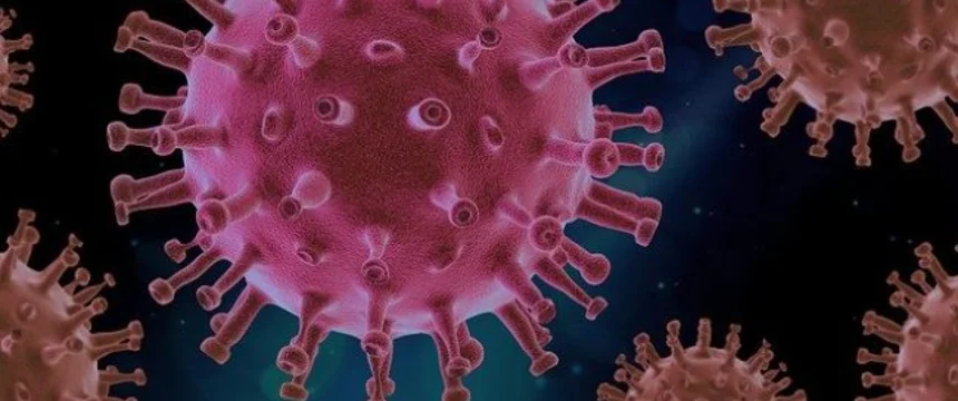 virus-4937553_640_1.jpg