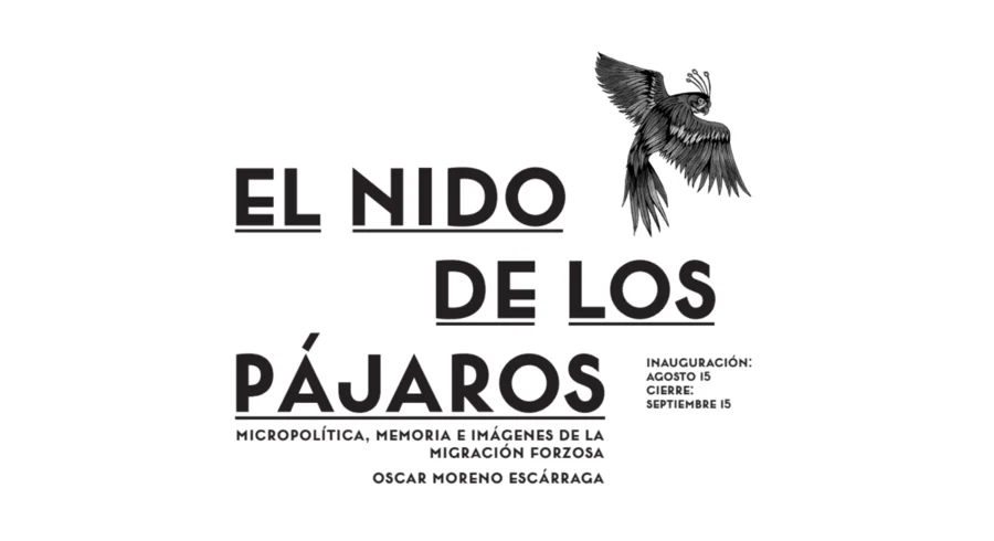 diseno_sin_titulo_2.png