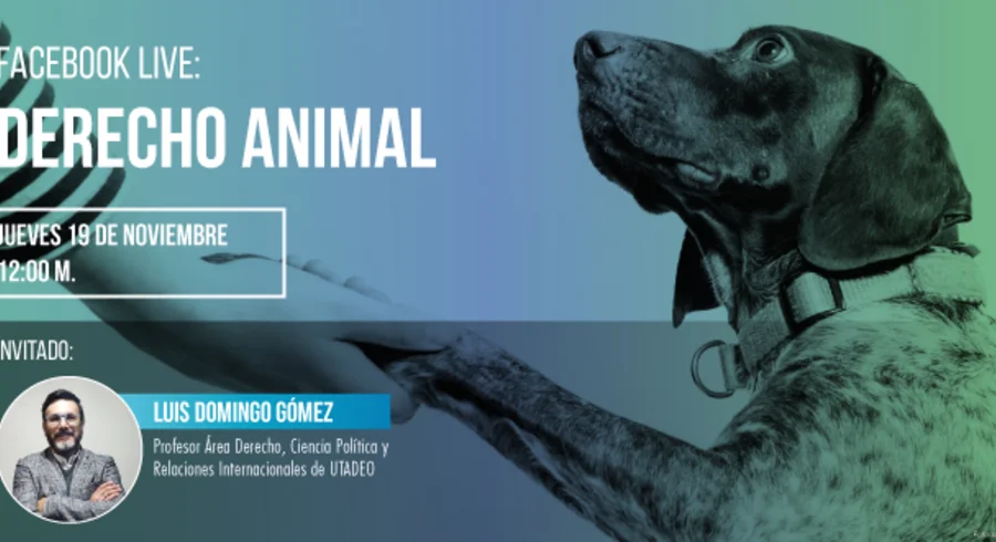 nota_web_derecho_animal.jpg