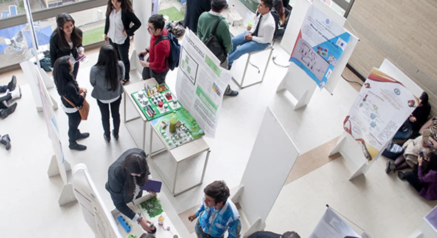 proyectos_1.jpg