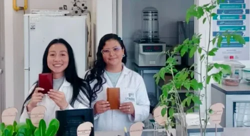 Gembiofert: el bioplástico de mango y fibra de coco que busca reducir el uso de plásticos de un solo uso y aportar a la fertilización sostenible. 