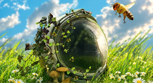 ¿Usted está aquí? Formas de habitar el presente: Ecos Crea 2026 llega a Utadeo 